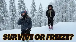 Can You Survive a 24 Hour Forest Challenge with No Equipment