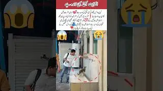 Humunity great example for love#love#edit#education#inspiration#viralshort#duet#cat#uknews #uk #usa