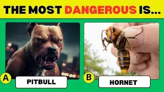 🧠 Challenge Your Knowledge of ANIMALS? 🐯🐒✅  Animal Quiz