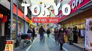 Tokyo Food & Culture Tour: Omakase, Coffee, Meiji Shrine, Tsujihan & Restaurant Recommendations