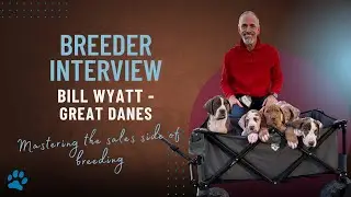 12 Days of Breeders 2025 - Day 6 - Bill Wyatt of DubDub Danes