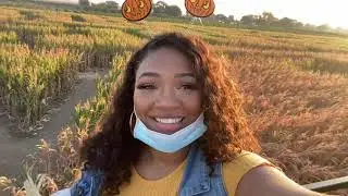 Happy Halloween 2020 *Quarantine/Social Distance* at Dell&rsquo;Osso Farms