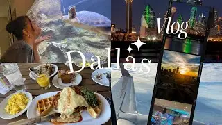 My Trip to Dallas Texas✈️  ✨#dallastx #dallasvlog
