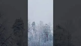 Красота зимы #снежныйдень #эстетика #зима #снег #estetics #winter #snow #park #winterpark