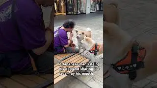A Japanese man sharing food with his dog by mouth #japanologie #ukjapan #japaneseculture #japan