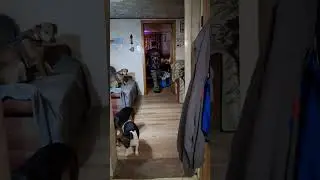 Вечерний вайб у реднеков