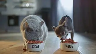 Корма X-CAT & X-DOG