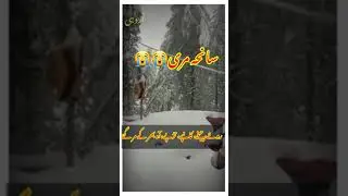 Murree Incident 2022