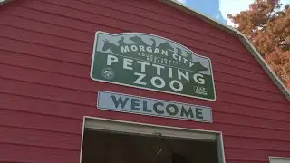 Pet Food Donations Stolen from Morgan City Petting Zoo, Community Steps In to Help