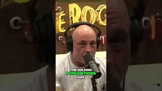 The Wildlife Debate: Hunting vs  Natural Population Control
