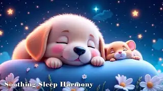 (No Ads) Deep Sleep Tonight 🌙 Relaxing Piano to Reduce Stress & Ease Overthinking