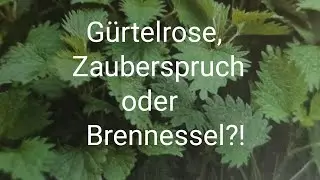 Brennnessel bei G&uuml;rtelrose?!, Zauberspruch oder Besprechen? ...