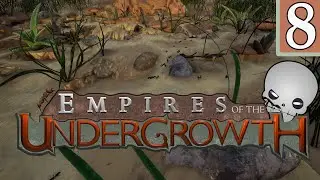 Desert Ants and Termites | Empires of the Undergrowth