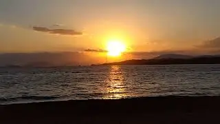 久々の海Live🌊🪸🪼🐡🐠🐟️のハイライト1:52:06 - 1:57:05