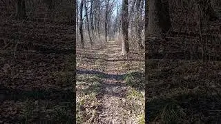 511молитва подорожі 50 prayer journey #nature#humor#music #birds#folkmusic#humour #pi #animals #duet