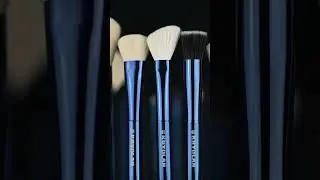 Vegan Brushes Blue Master