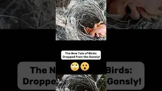 Nature's Drama: A Bird's Mischief!feathered folly