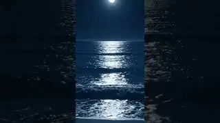 Ocean Waves for Deep Sleep | Calm Sea Sounds All Night
