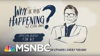 Chris Hayes Podcast  With Tim Wu | Why Is This Happening? - Ep 5 | MSNBC