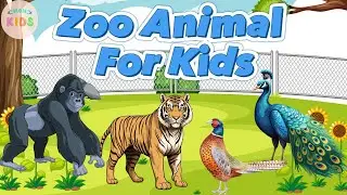 Zoo Animals For Kids 🦍 Learning about Zoo Animals Names | MON Kids
