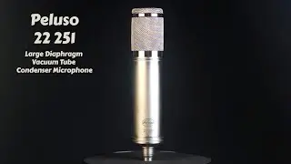 Peluso 22 251 Vacuum Tube LDC Microphone
