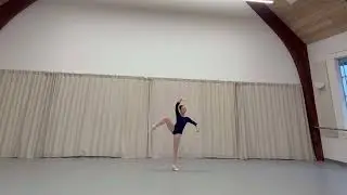 SFB Summer Intensive Video