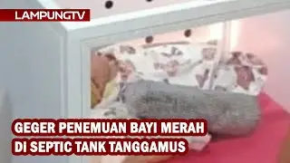 Geger Penemuan Bayi Merah di Septic Tank Tanggamus