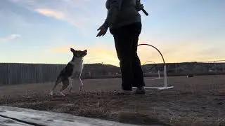 Arya | Fluid Motion Agility One Hoop Challenge: Week 3 &mdash; Directionals