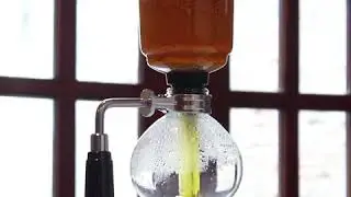 Acaraki's Jamu Pouch brewed with Syphon