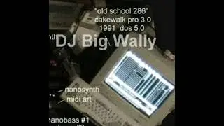 DJ Big Wally - 2001/2005 - Minimal Techno #1