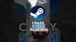Безумные обзоры Steam - Assetto Corsa Rally #steam #gaming #reviews #assettocorsarally #memes