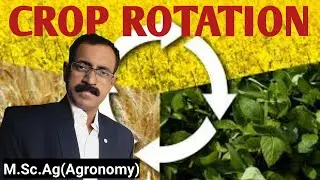 CROP ROTATION