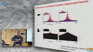 Nachum Ulanovsky on Spatial cells in the hippocampal formation - PART II
