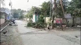 #longtrees  కాలనీలో రోడ్డు వెడల్పు కోసం  కాంట్రాక్టర్ చెట్లను తొలగిస్తున్నారు @kesavatvtelugunews