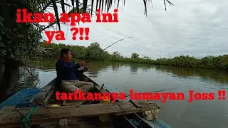 mancing di muara sungai strike terus