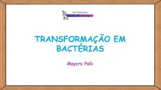 Transformação em Bactérias