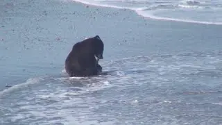Фильм 