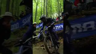Big crowds at the Bielsko World Cup