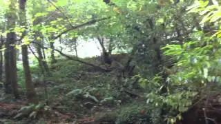 Zayante road access