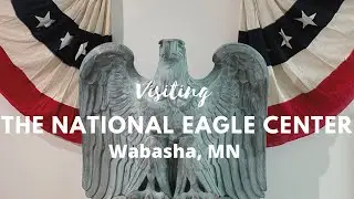 Visiting The National Eagle Center In Wabasha, Minnesota