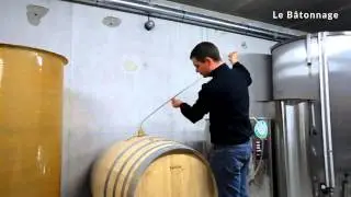 Vignoble Marchais - Le bâtonnage