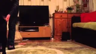 Millie the Dog Stacking Cups!