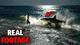 Great White Shark Attacks Solo Swimmer at 2 AM on November 30th, 2025