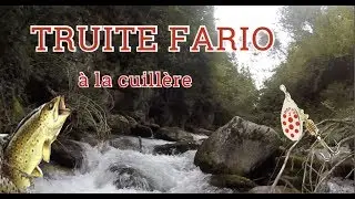 PECHE de la TRUITE FARIO &agrave; la cuill&egrave;re en torrent