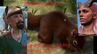 Solo play BG3, the polite barbarian, a bit short at the moment, part 4