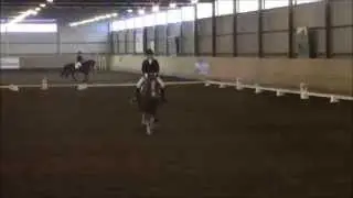 Zara - Helppo A FEI World Dressage Challenge test B