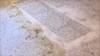 Miami Terrazzo Restoration Service - Call Today For Free Estimate.