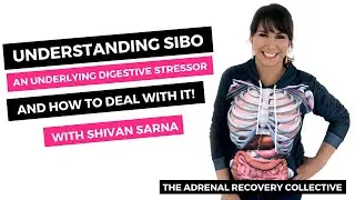 All Things SIBO and Adrenal Fatigue with Shivan Sarna