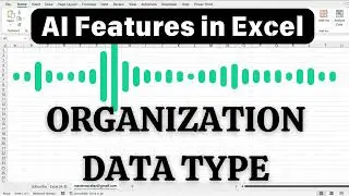 ORGANIZATION DATA TYPE | AI features in excel | Artificial Intelligence