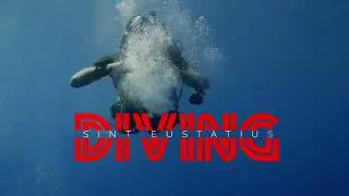 Diving Sint Eustatius: A Close Look at Its Incredible Sea Life